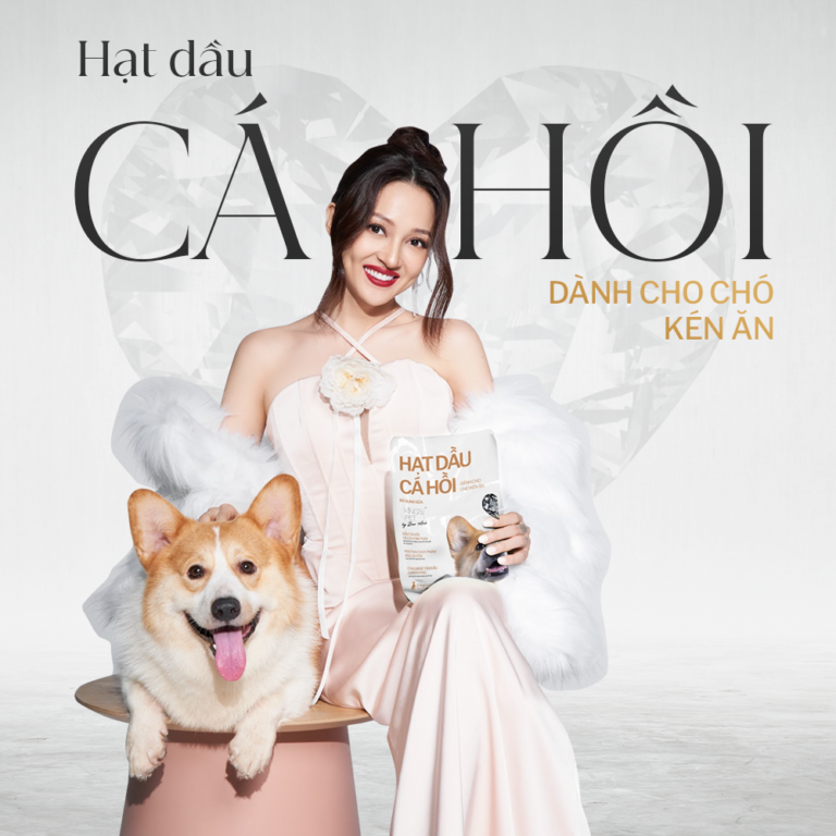 Hạt dầu cá hồi dành cho chó con kén ăn King’s Pet by Bao Anh