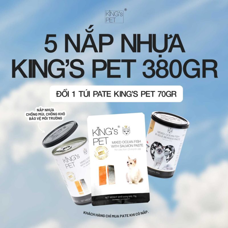 Đổi 5 nắp nhựa nhận ngay súp thưởng khổng lồ King's Pet