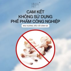 Chi tiết cách huấn luyện mèo hiệu quả