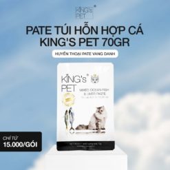 Nguyên nhân khiến mèo bị chảy máu ở hậu môn