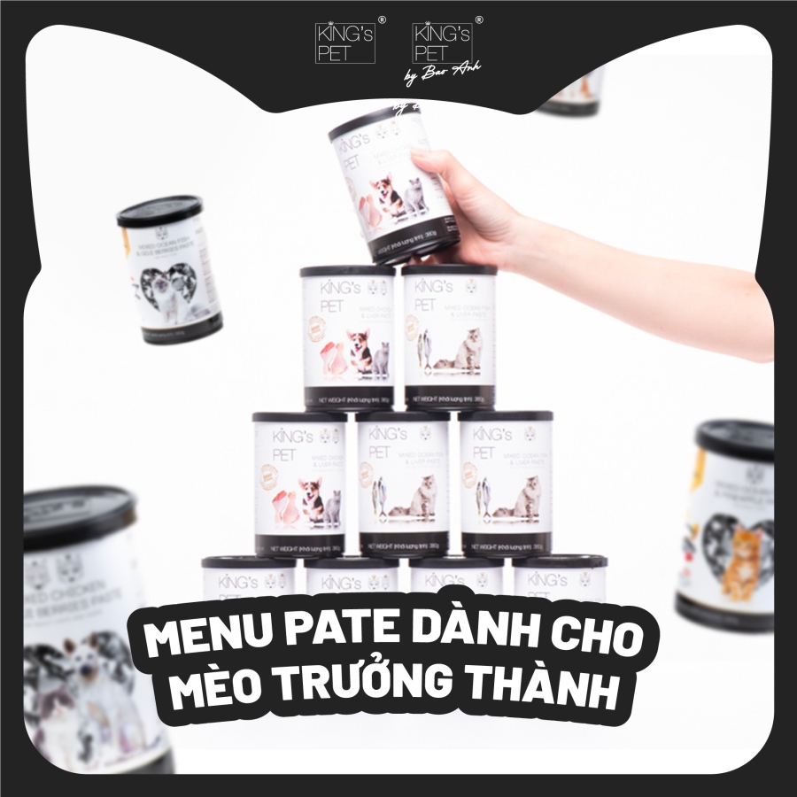 Menu pate thơm ngon tròn dinh dưỡng cho chó mèo theo từng giai đoạn 