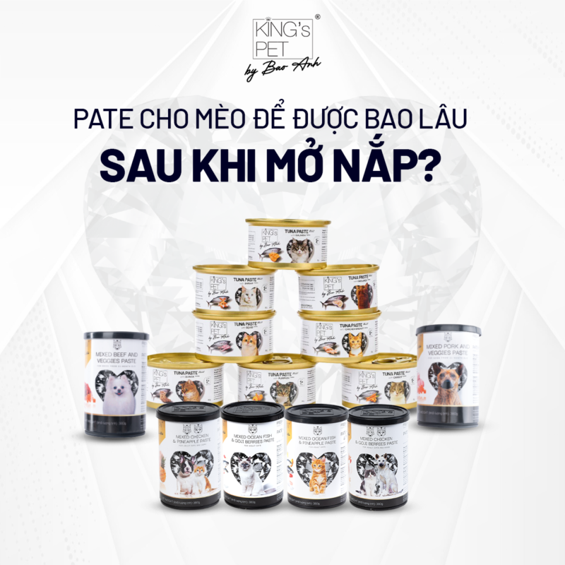 Pate mèo để được bao lâu sau khi mở nắp, lưu ý gì khi bảo quản?