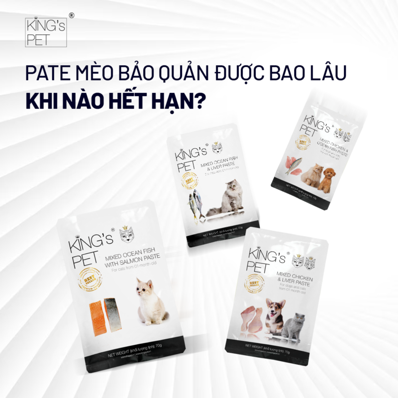 Pate mèo bảo quản được bao lâu - Khi nào hết hạn liệu Sen đã biết?