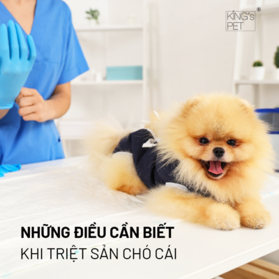 Sau hơn 2 năm có mặt trên thị trường, dòng sản phẩm King’s Pet vẫn đang làm mưa làm gió nhờ vào bao bì với nắp chống khô cùng công nghệ thanh trùng hiện đại mang đến sự tiện lợi tối ưu đến với khách hàng. Sản phẩm Súp cá sốt bò King’s Pet là một trong những sản phẩm hiếm hoi trên thị trường sở hữu công thức dinh dưỡng đặc biệt dành riêng cho chó mèo sau bệnh, chó mèo con, chó mèo đang mang thai và cho con bú. Sản phẩm Súp cá sốt bò King’s Pet cũng được thừa hưởng quy trình sản xuất với công nghệ thanh khử trùng ở nhiệt độ cao bằng thiết bị hiện đại trong ngành sản xuất thức ăn cho thú nuôi từ các dòng sản phẩm trước đó. Chế độ tiệt trùng 120 độ C trong 90 phút các nguyên liệu sẽ được vô hoạt bất thuận nghịch enzyme và ức chế hệ vi sinh trong thực phẩm, nhờ đó kéo dài thời gian bảo quản sản phẩm. Công nghệ tiệt trùng giúp cho việc bảo quản sản phẩm đến 3 năm ở nơi khô ráo, thoáng mát, tránh ánh nắng trực tiếp, mà không cần dùng đến chất bảo quản, hạn chế các chứng bệnh nguy hiểm ở chó mèo do dùng nhiều thức ăn có chứa phụ gia, chất bảo quản. Sau khi khui hộp, sản phẩm có thể bảo quản tối đa 5 ngày trong ngăn mát tủ lạnh. Sản phẩm cũng có bổ sung nắp nhựa chống khô tiện dụng giúp giữ được độ ẩm, mùi của sản phẩm và tủ lạnh không bị ám mùi. Với giá thành phải chăng, chỉ từ 8000đ/bữa ăn hàng ngày, Súp cá sốt bò King’s Pet mang đến sản phẩm dinh dưỡng với chất lượng ổn định và an toàn với sức khỏe thú cưng. Với quy trình khép kín đạt tiêu chuẩn cùng nguồn nguyên liệu tươi ngon, an toàn, King’s Pet đã nhận chứng chỉ xét nghiệm của ISO9001:2015, HACCP, xét nghiệm Vinacert và được Cục Chăn nuôi thuộc Bộ Nông nghiệp & Phát triển Nông thôn cấp giấy phép lưu hành toàn quốc hạng mục Thức ăn hỗn hợp hoàn chỉnh cho chó mèo từ 01 tháng tuổi.