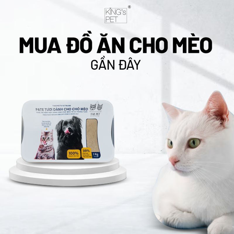 Tips mua đồ ăn cho mèo gần đây.