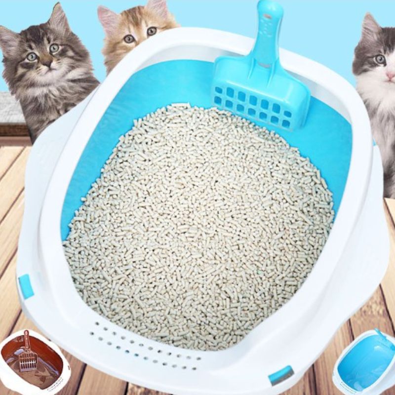 Mẹo hữu ích khi sử dụng khay cát.