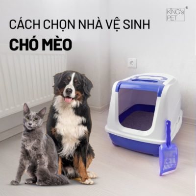 Cách chọn nhà vệ sinh chó mèo tiêu chuẩn cần biết.