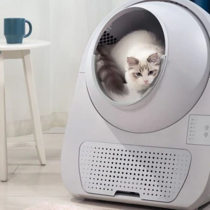 Lựa chọn chất liệu nhà vệ sinh chó mèo an toàn.