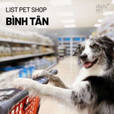 Tham khảo list pet shop bình tân cực hot.