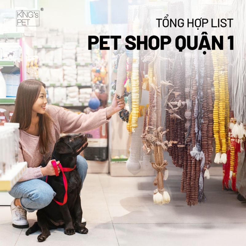 Tổng hợp list pet shop quận 1.