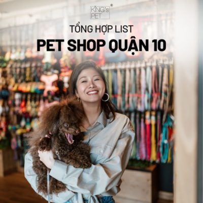 Tổng hợp list pet shop quận 10 chất lượng cho bạn tham khảo.