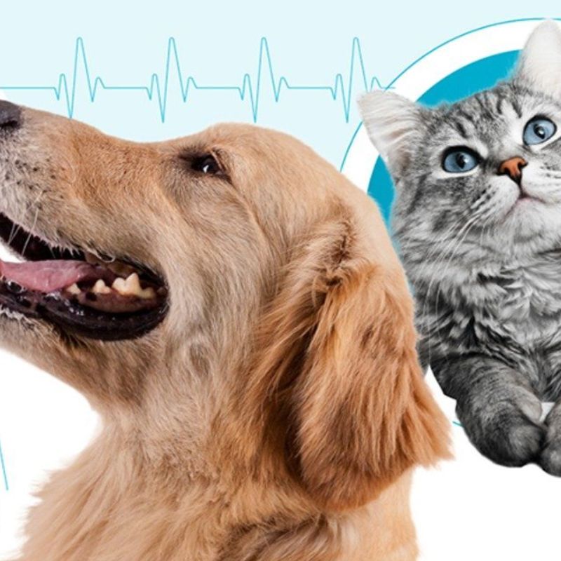 Một số địa chỉ đáng để tham khảo.