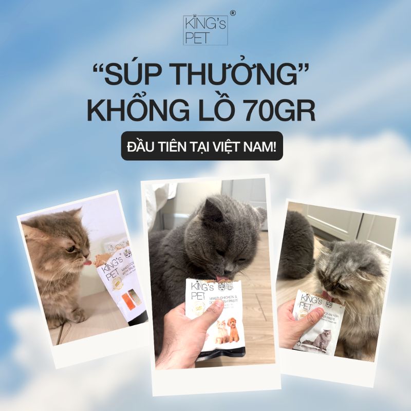 Thức ăn bổ dưỡng cho thú cưng.