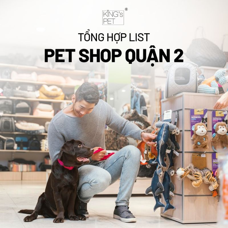 Tổng hợp list pet shop quận 2 cho bạn tham khảo.