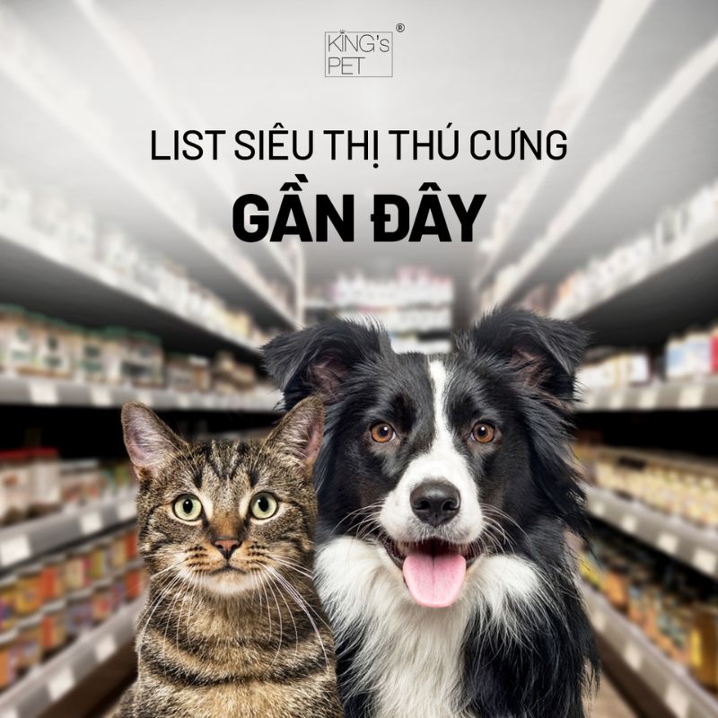 Tham khảo list siêu thị thú cưng gần đây.