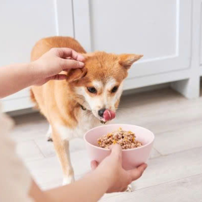 Thành phần dinh dưỡng cần thiết cho cún cưng.