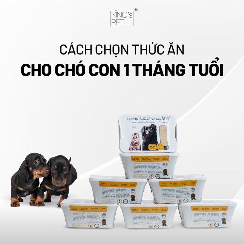 Cách chọn thức ăn cho chó con 1 tháng tuổi đáng tham khảo.