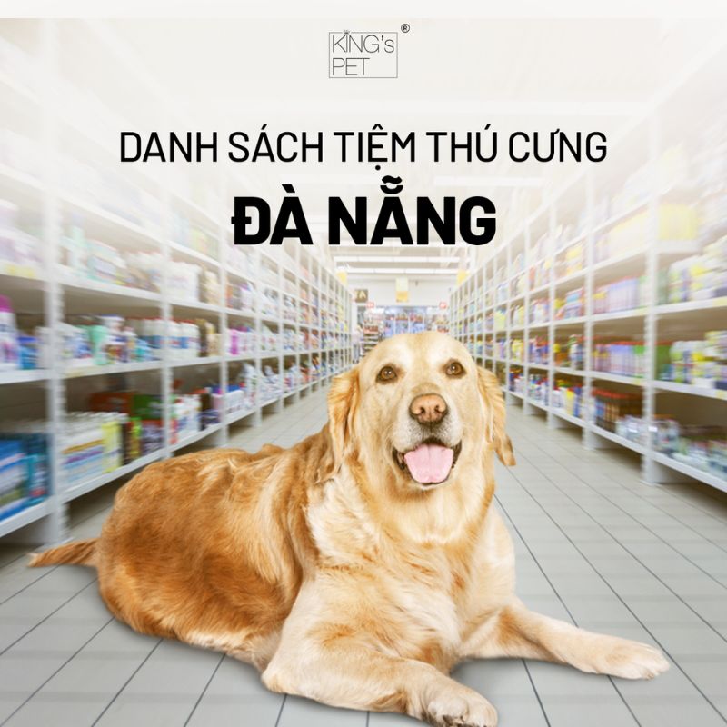 Danh sách tiệm thú cưng Đà Nẵng cho bạn tham khảo.