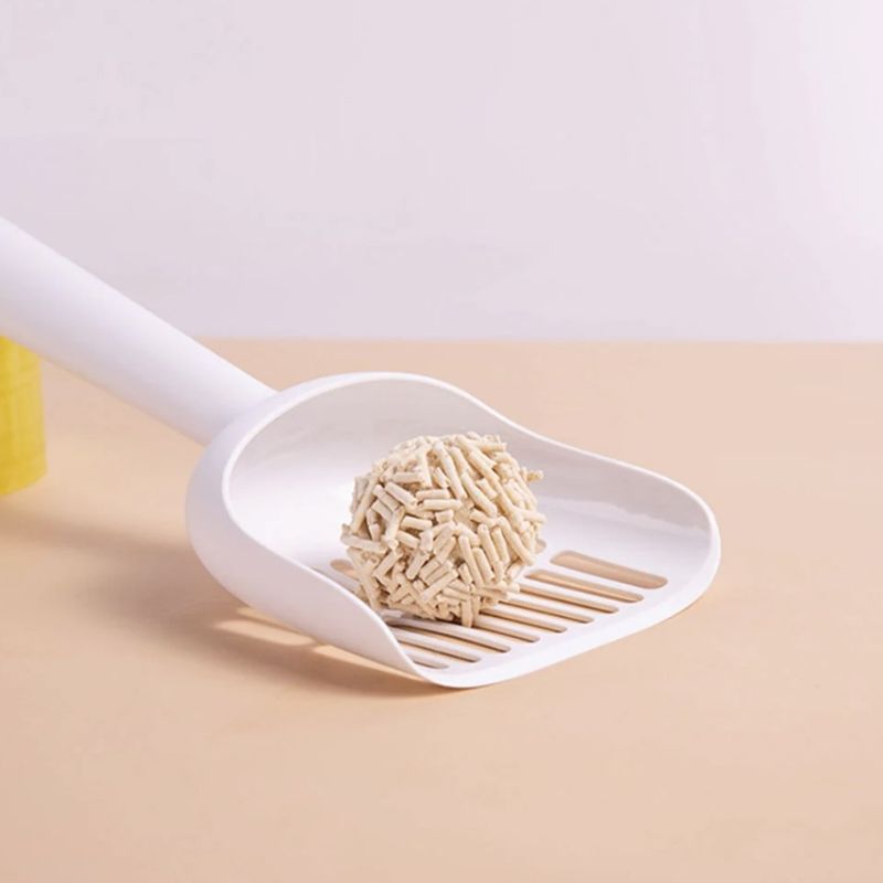Hướng dẫn sử dụng cát cho mèo đúng cách.