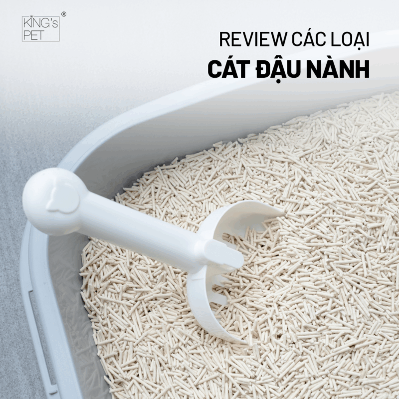 Tham khảo review các loại cát đậu nành.
