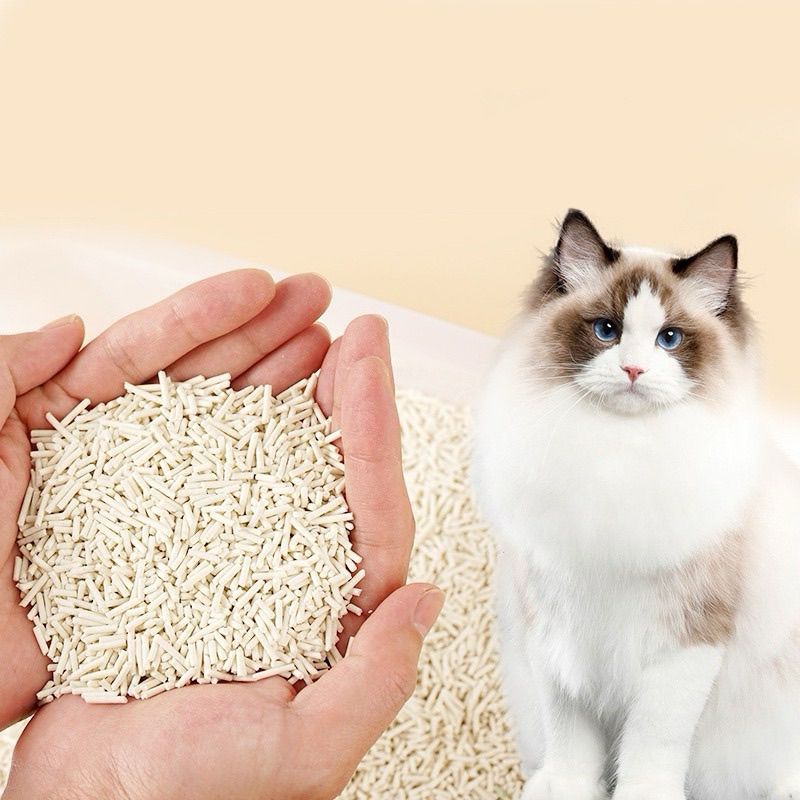Cát đậu nành cho mèo giúp chủ nuôi tiết kiệm chi phí.