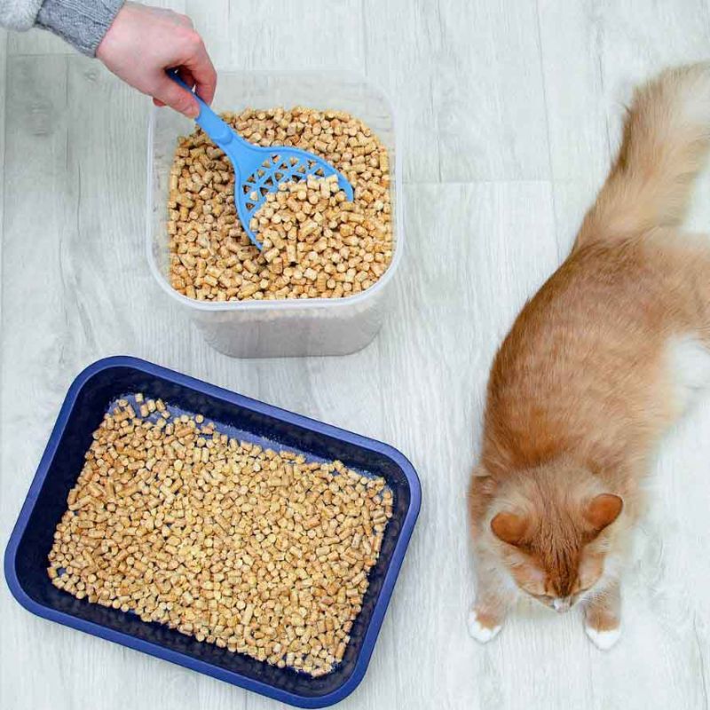 Các chợ, cửa hàng nhỏ lẻ cũng bán cát đậu nành cho mèo.