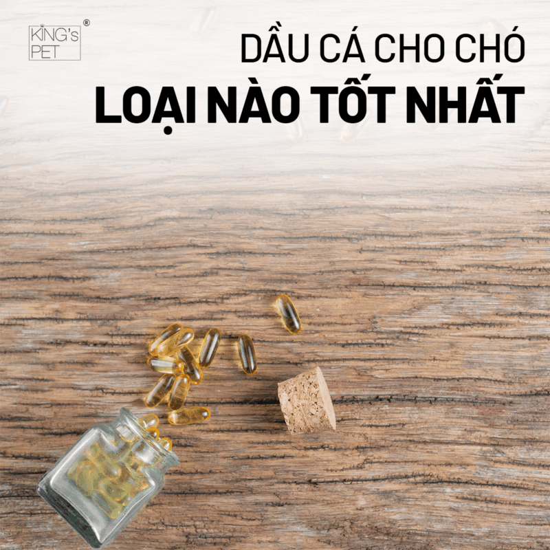 Chọn dầu cá cho chó chất lượng để đạt hiệu quả tốt.
