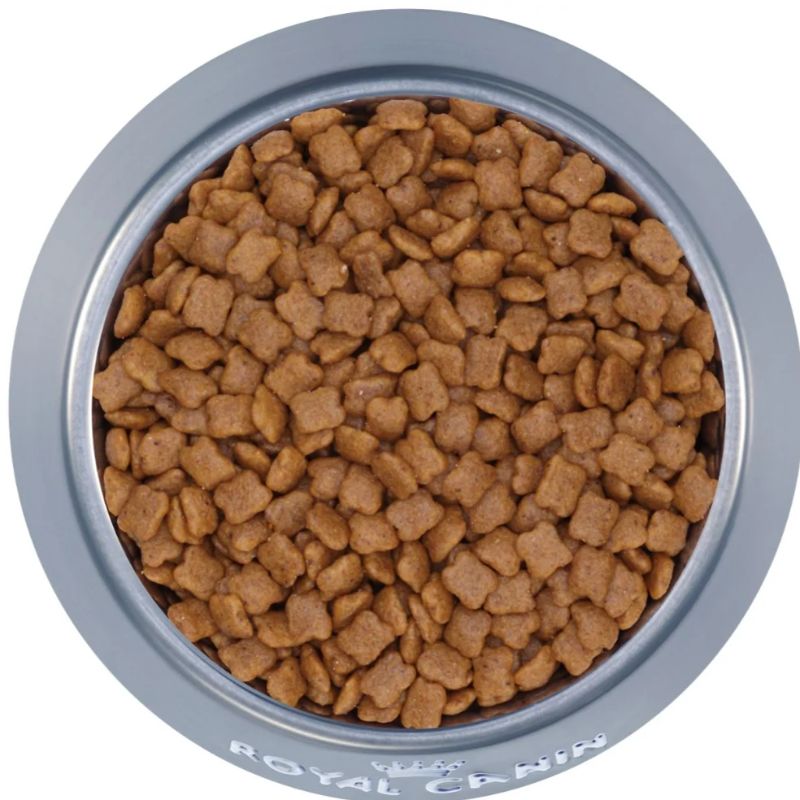 Hạt royal canin cho mèo.
