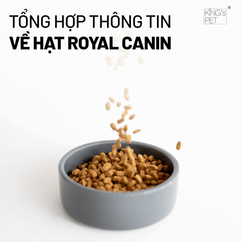 Tìm hiểu về hạt royal canin.