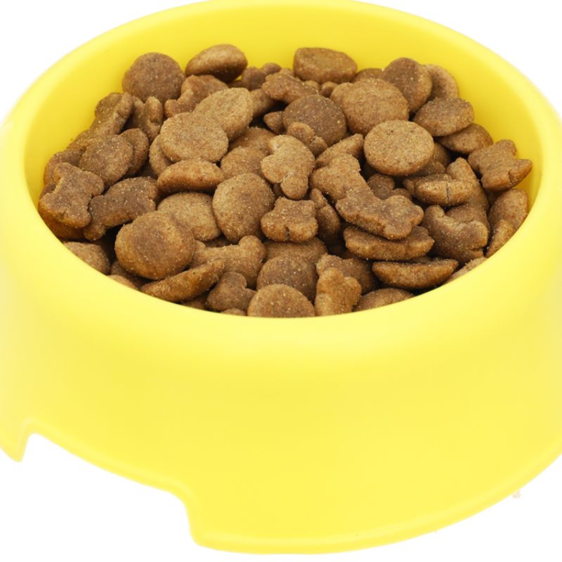 Thức ăn cho chó poodle dạng khô.