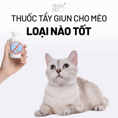 Thuốc tẩy giun cho mèo loại tốt nhất.