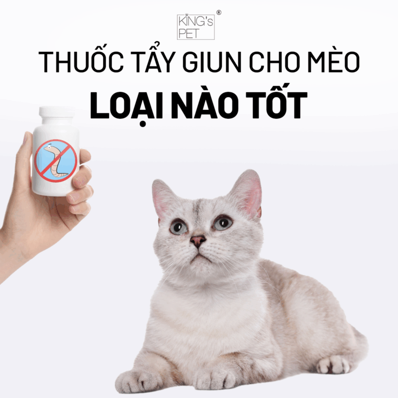 Thuốc tẩy giun cho mèo loại tốt nhất.