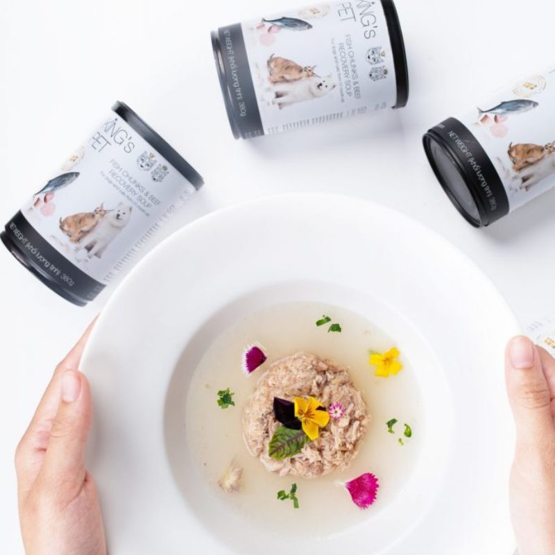 Menu tập ăn dinh dưỡng cho mèo con.