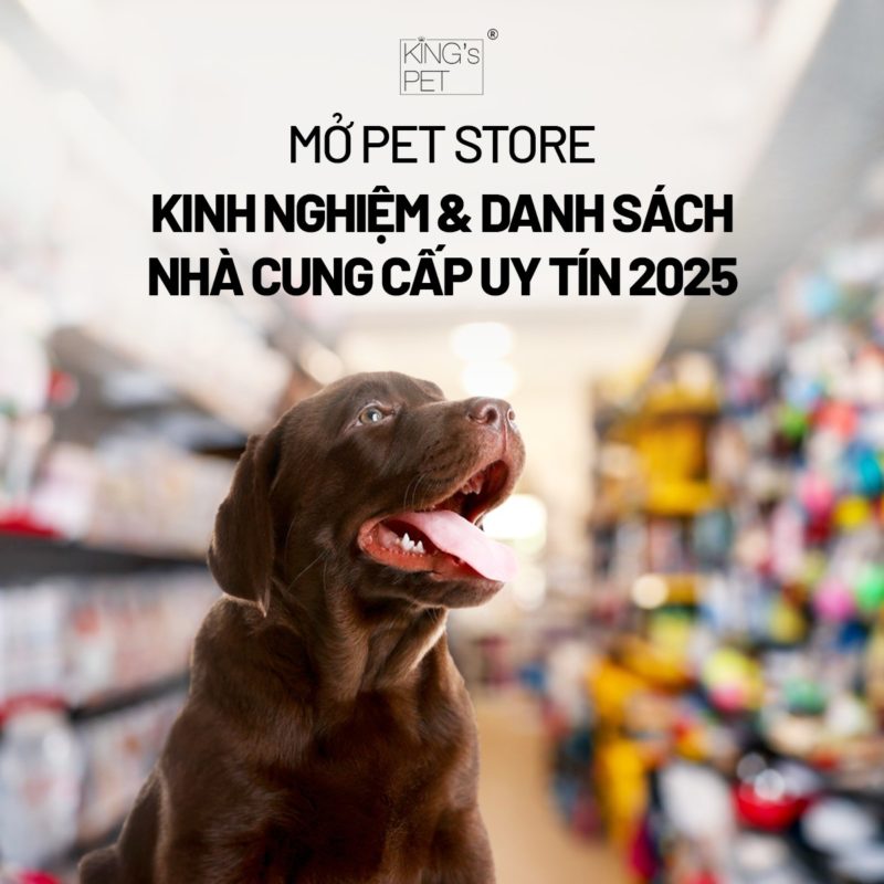 Mở Pet Store: Kinh Nghiệm & Danh Sách Nhà Cung Cấp Uy Tín 2025