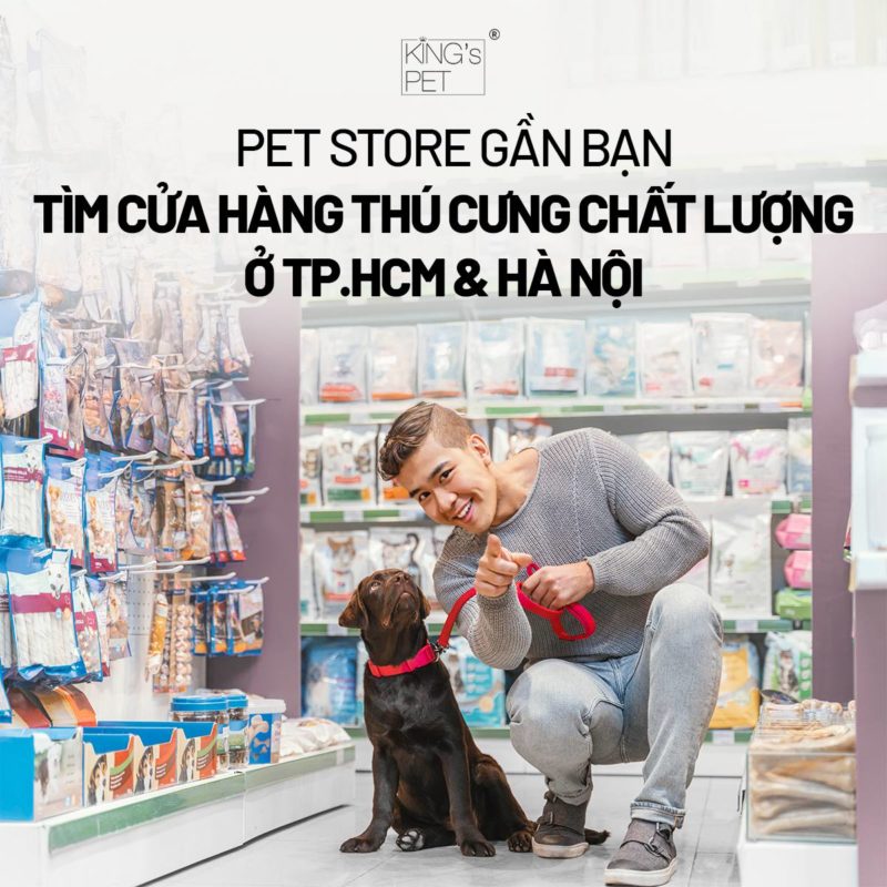 Pet Store Gần Bạn – Tìm Cửa Hàng Thú Cưng Chất Lượng Ở TP.HCM & Hà Nội
