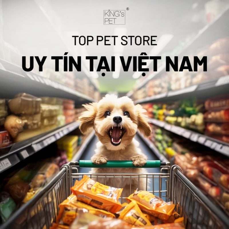 Top Pet Store Uy Tín Tại Việt Nam