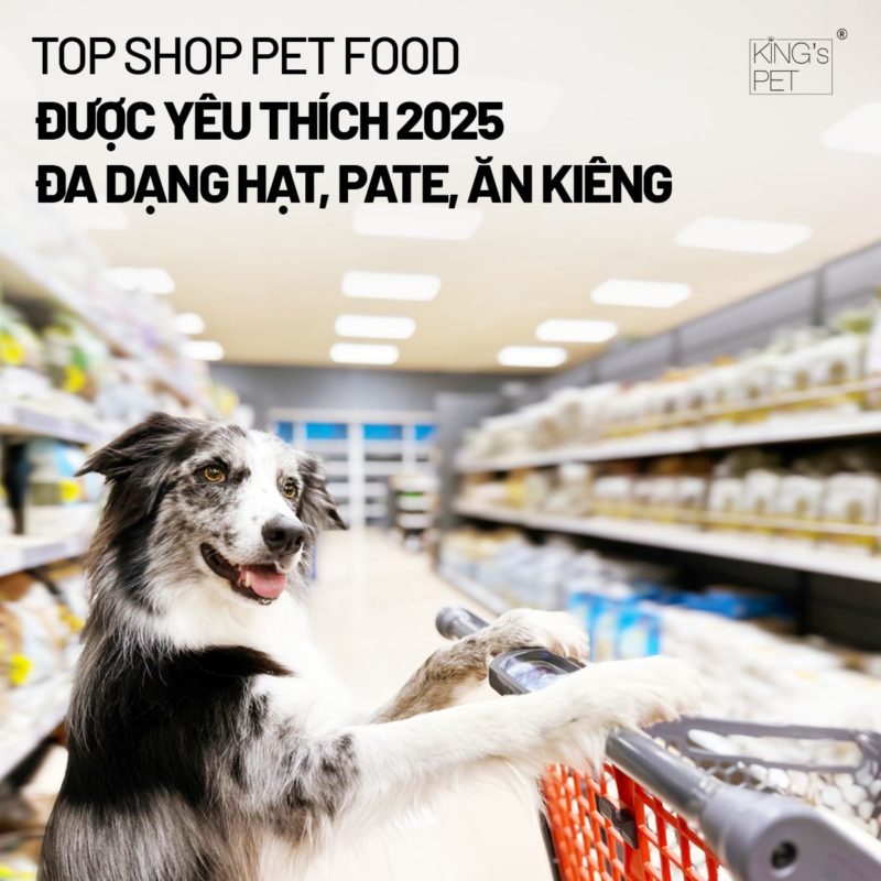 Top Shop Pet Food Được Yêu Thích 2025 – Đa Dạng Hạt, Pate, Ăn Kiêng
