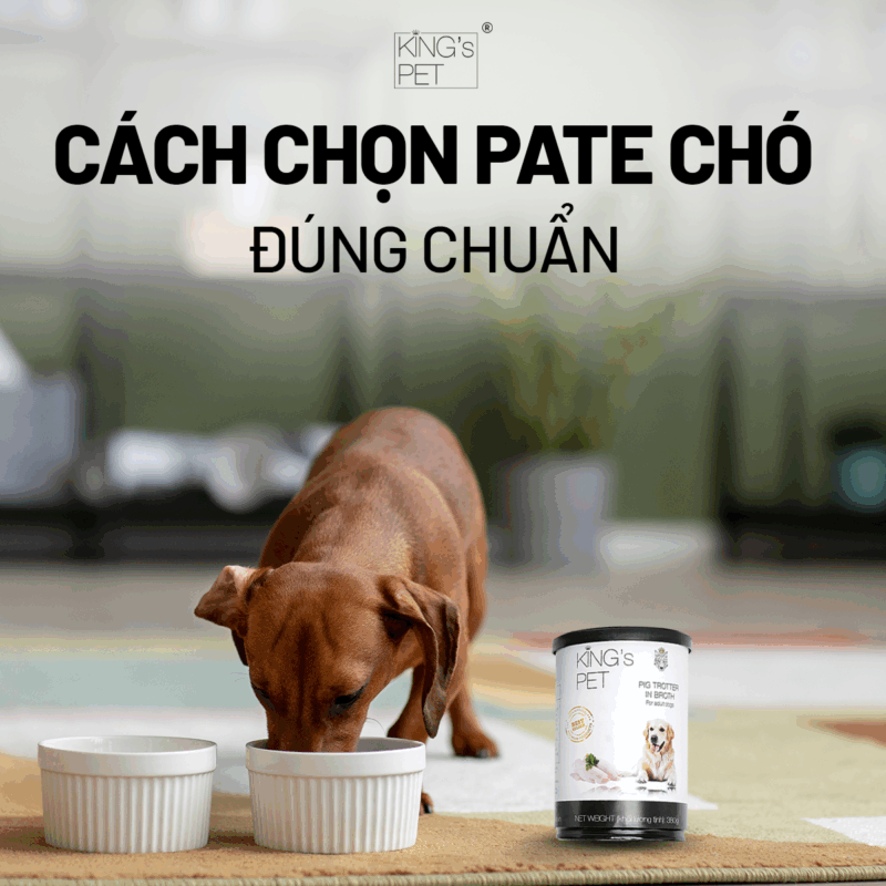 Lưu cách chọn pate chó chuẩn không cần chỉnh.