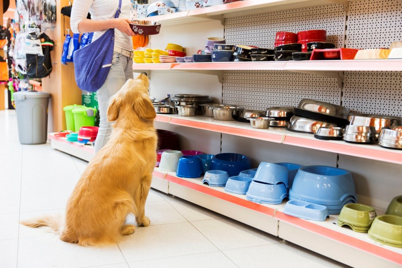 Mở Pet Store: Kinh Nghiệm & Danh Sách Nhà Cung Cấp Uy Tín 2025