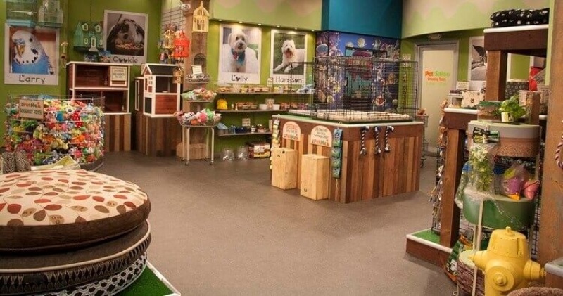Mở Pet Store: Kinh Nghiệm & Danh Sách Nhà Cung Cấp Uy Tín 2025