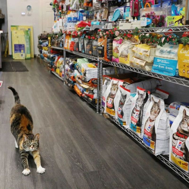 Pet store đa dạng hàng hóa, sản phẩm.