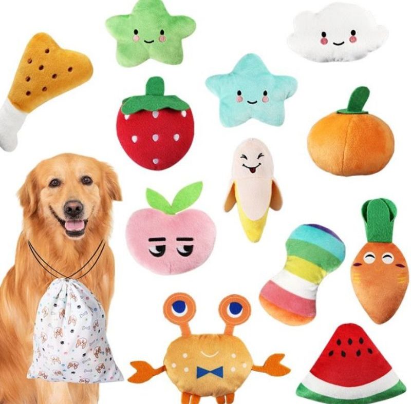 Lựa chọn pet store phù hợp để thú cưng có trải nghiệm tốt nhất.