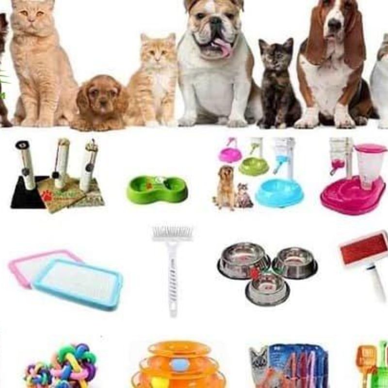 Phụ kiện chó mèo tại pet store.