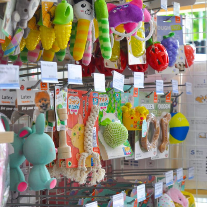 Mua đồ cho pet tại pet store chất lượng.