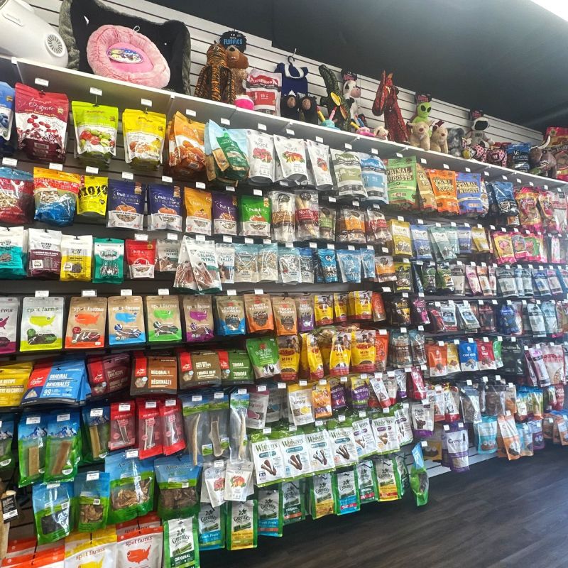 Tham khảo các shop thú cưng gần đây.