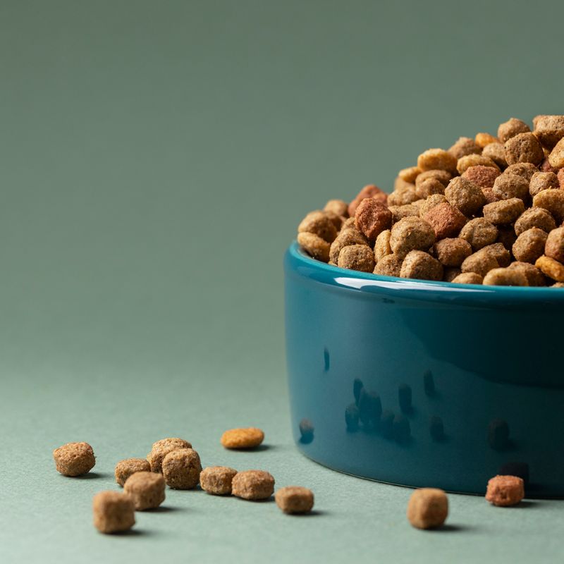 Shop pet food bán thức ăn hạt cho chó.
