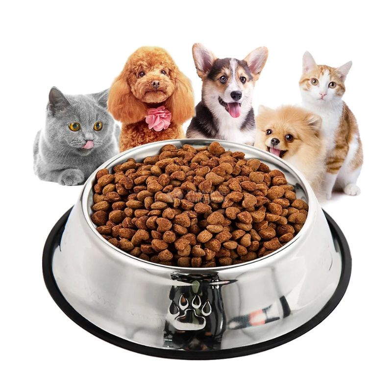 Các sản phẩm có trong shop pet food.