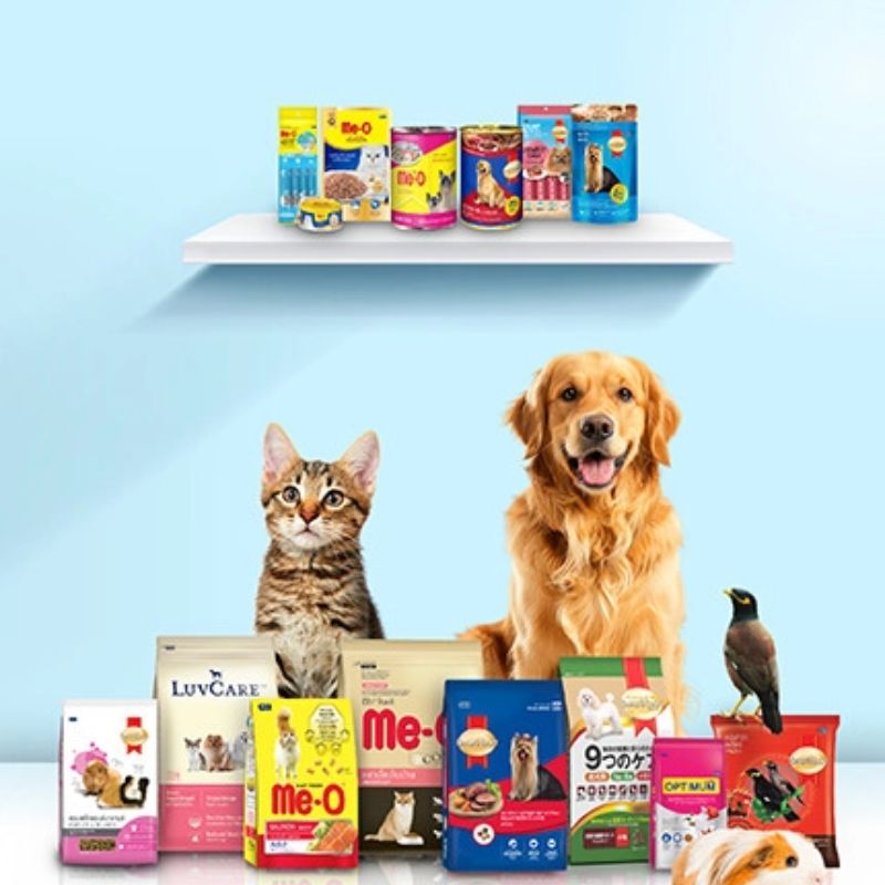 Mua pate chất lượng tại shop pet food.