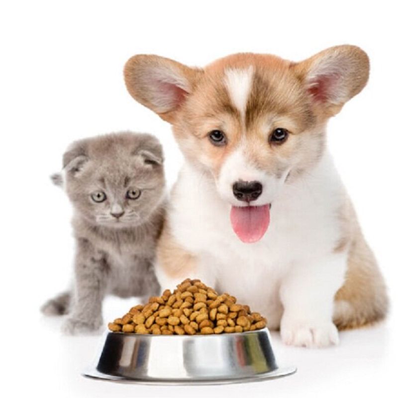 Shop pet food có các loại thức ăn hạt.
