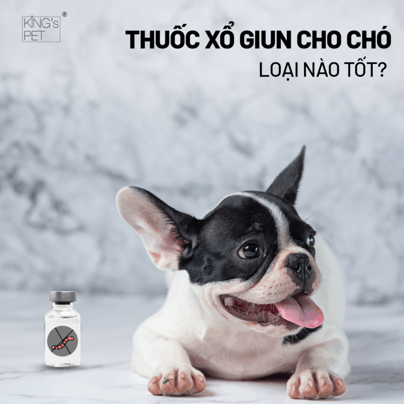 Chọn mua thuốc xổ giun cho chó chất lượng tốt nhất.